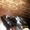 Стартовый пистолет STALKER – 914 S. Совершенно новый! - <ro>Изображение</ro><ru>Изображение</ru> #3, <ru>Объявление</ru> #877188