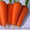 Морковка шантане (семена)