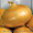 семена чернушки лука штудгартен - <ro>Изображение</ro><ru>Изображение</ru> #1, <ru>Объявление</ru> #873479