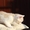 Продам недорого котят персидской кошки! - <ro>Изображение</ro><ru>Изображение</ru> #5, <ru>Объявление</ru> #893000