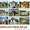 Строительство загородных домов Одесса,  канадские дома,  коттеджи #971109