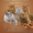 Британский котенок, редкого окраса циннамон! - <ro>Изображение</ro><ru>Изображение</ru> #3, <ru>Объявление</ru> #1029729