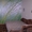 Одесса Посуточная аренда 1 ком квартиры отхозяина ЦЕНТР+МОРЕ 28-38$ - <ro>Изображение</ro><ru>Изображение</ru> #3, <ru>Объявление</ru> #231073