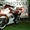 Продам мотоцикл  FALCON GSX R-250  - <ro>Изображение</ro><ru>Изображение</ru> #2, <ru>Объявление</ru> #1046107