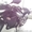 Спорт! Honda CBR250R - <ro>Изображение</ro><ru>Изображение</ru> #4, <ru>Объявление</ru> #1074053