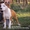 Высокопородные щенки американского стафф терьера  - <ro>Изображение</ro><ru>Изображение</ru> #4, <ru>Объявление</ru> #1070997