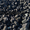 Продам шахтный уголь со склада в Одесской обл. - <ro>Изображение</ro><ru>Изображение</ru> #2, <ru>Объявление</ru> #1162567