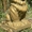 Садовая скульптура лев из бетона - <ro>Изображение</ro><ru>Изображение</ru> #4, <ru>Объявление</ru> #1247503