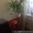 3-комнатная квартира 3/9 на Махачкалинской/Днепропетровская - <ro>Изображение</ro><ru>Изображение</ru> #1, <ru>Объявление</ru> #1263623