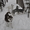Сибирский хаски щенки КСУ-FCI  - <ro>Изображение</ro><ru>Изображение</ru> #7, <ru>Объявление</ru> #797613