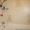 3 ком. спецпроект с капремонтом на пр. М. Жукова - <ro>Изображение</ro><ru>Изображение</ru> #5, <ru>Объявление</ru> #1379085