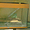 Продается немецкий аквариум на 140 л (стекло) б/у - <ro>Изображение</ro><ru>Изображение</ru> #3, <ru>Объявление</ru> #1465594