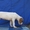 Продается щенок американского бульдога - <ro>Изображение</ro><ru>Изображение</ru> #2, <ru>Объявление</ru> #1488553