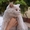 элитных британских котят - <ro>Изображение</ro><ru>Изображение</ru> #1, <ru>Объявление</ru> #1486538