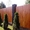 Красивый забор из профнастила "под Дерево" без посредников в Одессе - <ro>Изображение</ro><ru>Изображение</ru> #4, <ru>Объявление</ru> #1542630