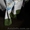 Скатерть из хлопка от Зои Беркович - <ro>Изображение</ro><ru>Изображение</ru> #1, <ru>Объявление</ru> #1552673