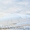 Отель Афродита в Затоке - восхитительный вид на Черное море. - <ro>Изображение</ro><ru>Изображение</ru> #1, <ru>Объявление</ru> #1583060