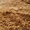 продам песок на бетон чистый, без камней, сеяный одесса  #1586639