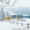 Зимний отдых в Карпатах. Новогодние и рождественские туры в Карпаты. - <ro>Изображение</ro><ru>Изображение</ru> #1, <ru>Объявление</ru> #1593799