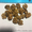 Продам ядро грецкого ореха (бабочка и 1/4) - <ro>Изображение</ro><ru>Изображение</ru> #3, <ru>Объявление</ru> #1593817