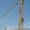 Продаем быстромонтируемый башенный кран LIEBHERR 35K, 4 тонны, 1993 г.в. - <ro>Изображение</ro><ru>Изображение</ru> #2, <ru>Объявление</ru> #1607587