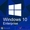 Microsoft Windows 10 Enterprise – для дома и малых организаций #1642487