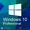 Microsoft Windows 10 Professional – для дома и малых организаций #1642486