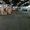 6км Овидиопольской дор,  Малиновский р-н склад 1000 м в Одессе,  видео-наблюдение #1708947