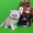 Серебристо шиншилловые котята. - <ro>Изображение</ro><ru>Изображение</ru> #4, <ru>Объявление</ru> #1720501