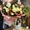 Цветы с доставкой по Украине: розы, тюльпаны, сборные и экзотические букеты - <ro>Изображение</ro><ru>Изображение</ru> #3, <ru>Объявление</ru> #1736766