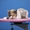 Школа грумінгу. Навчання стрижкам собак в Одесі - <ro>Изображение</ro><ru>Изображение</ru> #2, <ru>Объявление</ru> #1737058