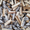 Дрова Одесса с доставкой - дуб,  граб,  ясень,  сосна,  береза #1740494
