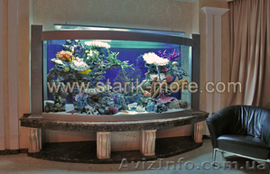 Эксклюзивные аквариумы на заказ в Одессе - <ro>Изображение</ro><ru>Изображение</ru> #1, <ru>Объявление</ru> #76817