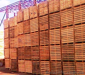 Тара, деревянные контейнеры. - <ro>Изображение</ro><ru>Изображение</ru> #1, <ru>Объявление</ru> #87904
