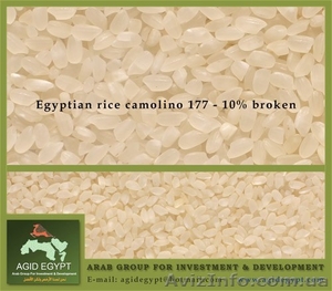 Египетский круглозёрный рис Camolino - <ro>Изображение</ro><ru>Изображение</ru> #1, <ru>Объявление</ru> #26347