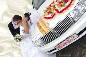Прокат свадебных украшений на любое авто - <ro>Изображение</ro><ru>Изображение</ru> #5, <ru>Объявление</ru> #256294