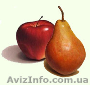 Доставка яблок и груш на дом - <ro>Изображение</ro><ru>Изображение</ru> #1, <ru>Объявление</ru> #545339