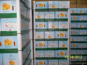 Прямые поставки цитрусовых из Египта - <ro>Изображение</ro><ru>Изображение</ru> #5, <ru>Объявление</ru> #599309