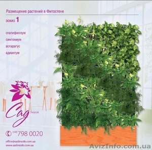 вертикальное озеленение интерьера "СадИнсайд" - <ro>Изображение</ro><ru>Изображение</ru> #4, <ru>Объявление</ru> #603383