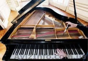 Настройка пианино,рояля,аккордеонов,баянов  - <ro>Изображение</ro><ru>Изображение</ru> #2, <ru>Объявление</ru> #562088