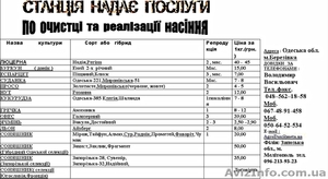 Станція надає послуги по очістці та реалізаціі насіння - <ro>Изображение</ro><ru>Изображение</ru> #1, <ru>Объявление</ru> #594515