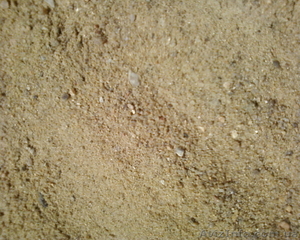Вознесенский песок со склада в Одессе - <ro>Изображение</ro><ru>Изображение</ru> #2, <ru>Объявление</ru> #661447