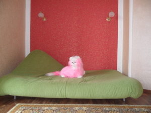 Продам мебель диван - <ro>Изображение</ro><ru>Изображение</ru> #2, <ru>Объявление</ru> #656848