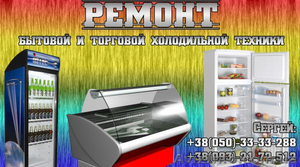 Ремонт бытовой и торговой холодильной техники! - <ro>Изображение</ro><ru>Изображение</ru> #1, <ru>Объявление</ru> #715440
