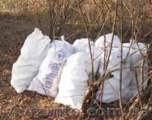 Вывоз мусора в мешках - <ro>Изображение</ro><ru>Изображение</ru> #9, <ru>Объявление</ru> #734413
