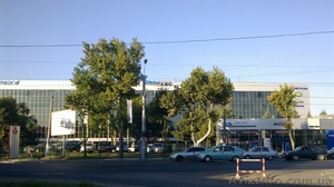 Сдам ангар в черте города Одесса! - <ro>Изображение</ro><ru>Изображение</ru> #3, <ru>Объявление</ru> #775912