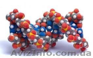 Тест ДНК (Генетическая экспертиза на отцовство,  родство)