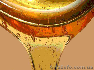 Продам натуральный мед со своей пасеки - <ro>Изображение</ro><ru>Изображение</ru> #2, <ru>Объявление</ru> #795102
