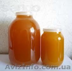 Продам натуральный мед со своей пасеки - <ro>Изображение</ro><ru>Изображение</ru> #1, <ru>Объявление</ru> #795102