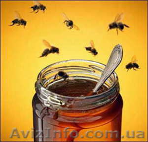 Продам натуральный мед со своей пасеки - <ro>Изображение</ro><ru>Изображение</ru> #3, <ru>Объявление</ru> #795102